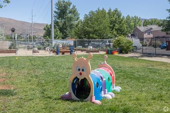 Dog park